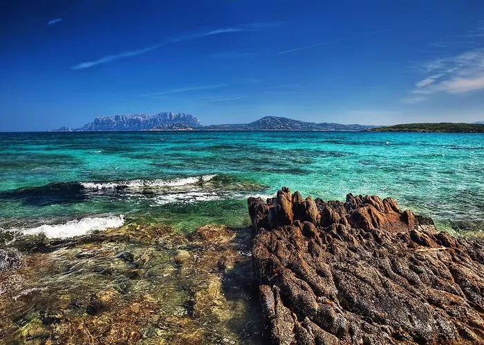 Lägenhet Dimora Di Rosy Pittulongu - Happy