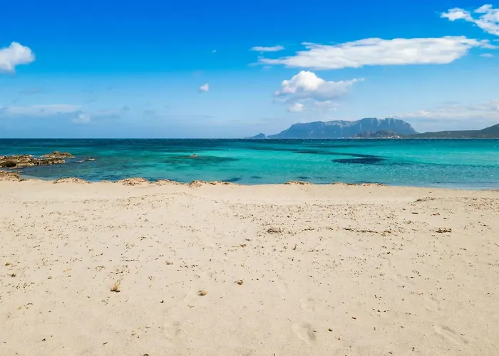 Dimora Di Rosy Pittulongu - Happy